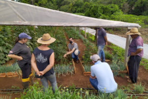 Extensão rural