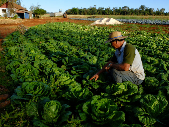 Produtor Rural