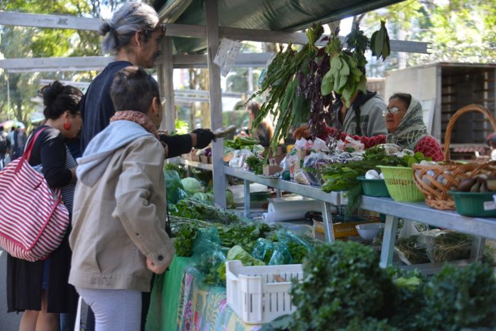 agricultura orgânica