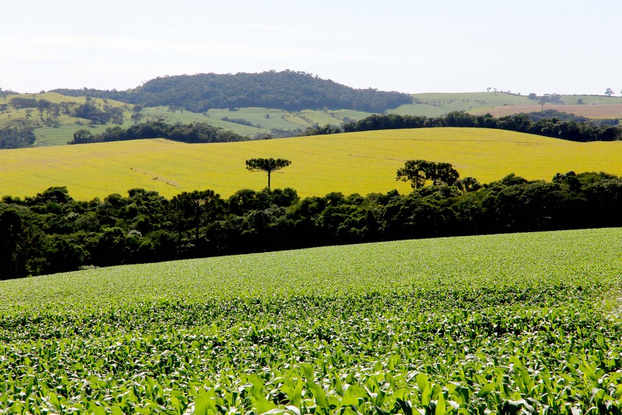 Terras Paraná