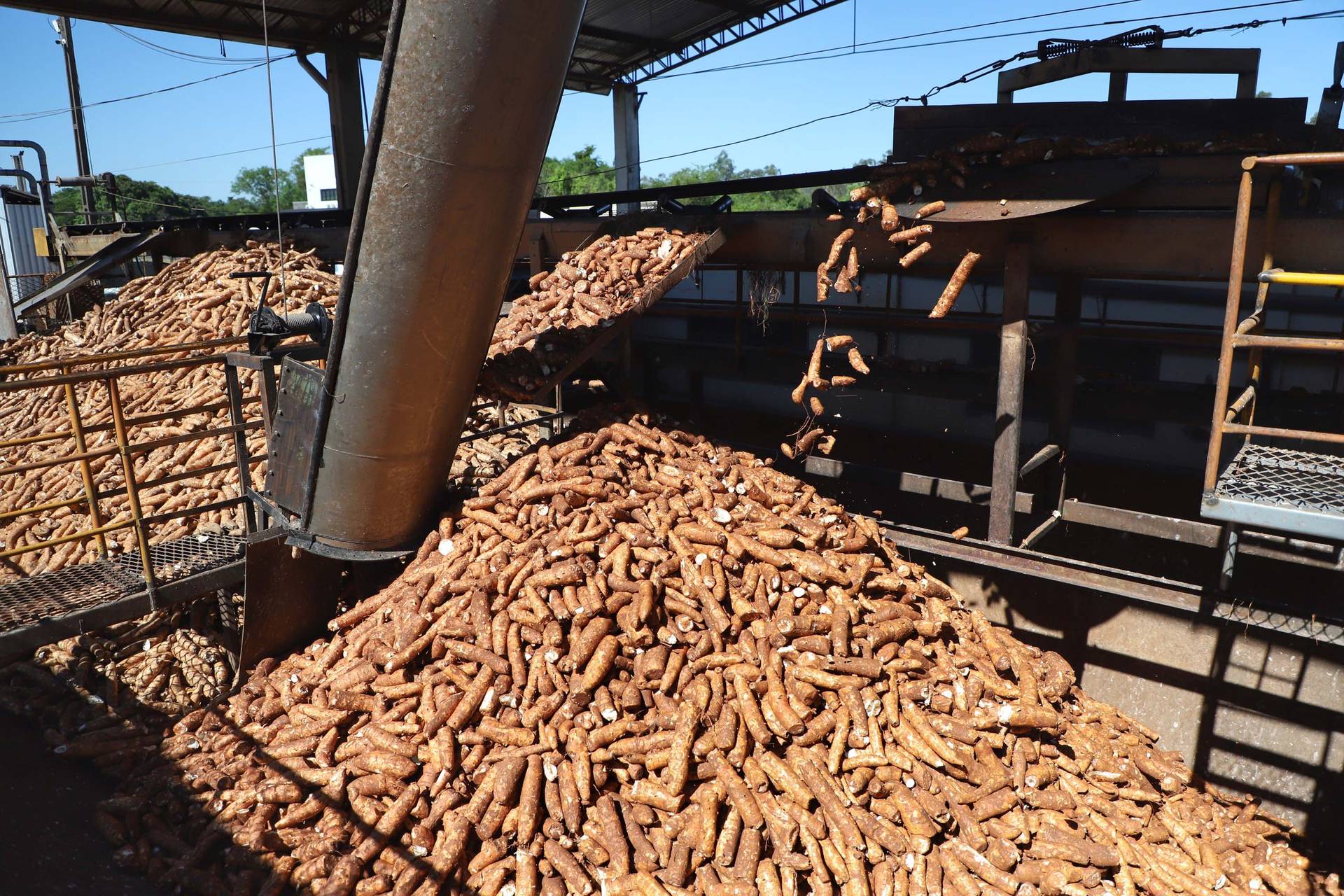 Fábrica de farinha e fécula