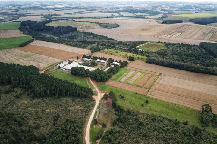 Fazenda Modelo da Embrapa em Ponta Grossa