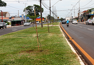 Avenida Saul Elkind