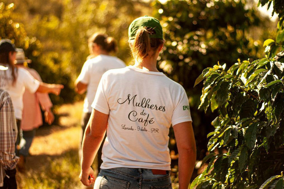 Mulheres produtoras de café