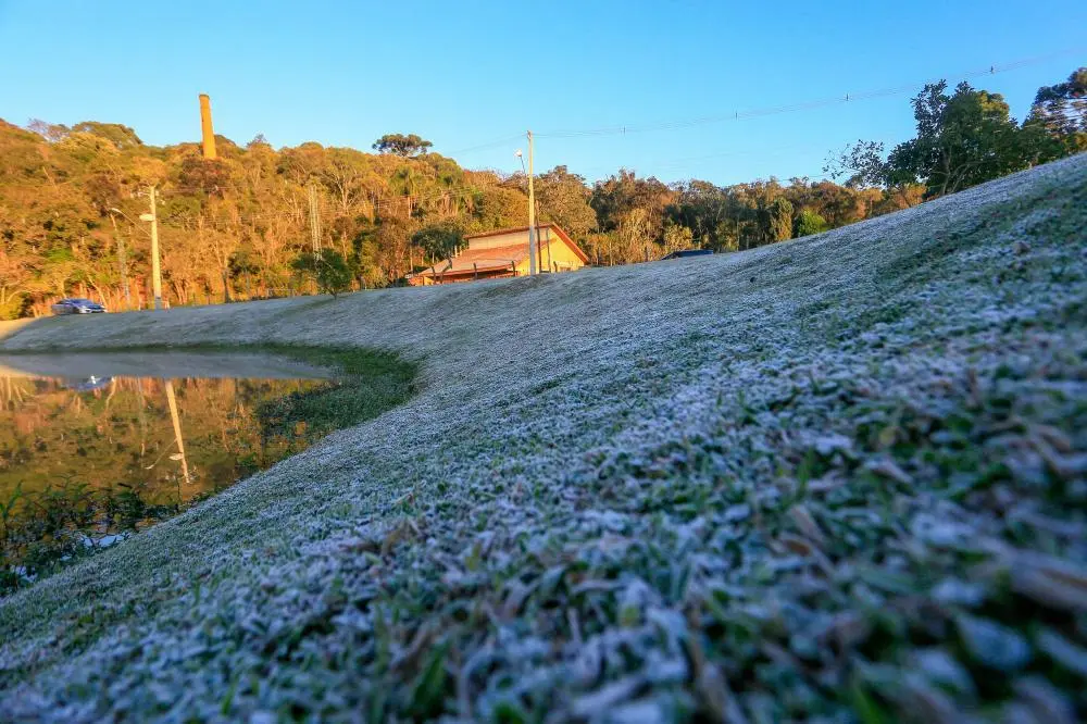 El Niño Conexão Agro