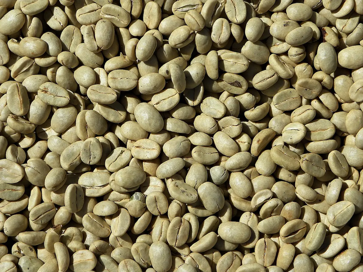 café verde exportação frança copa do mundo - Conexão Agro