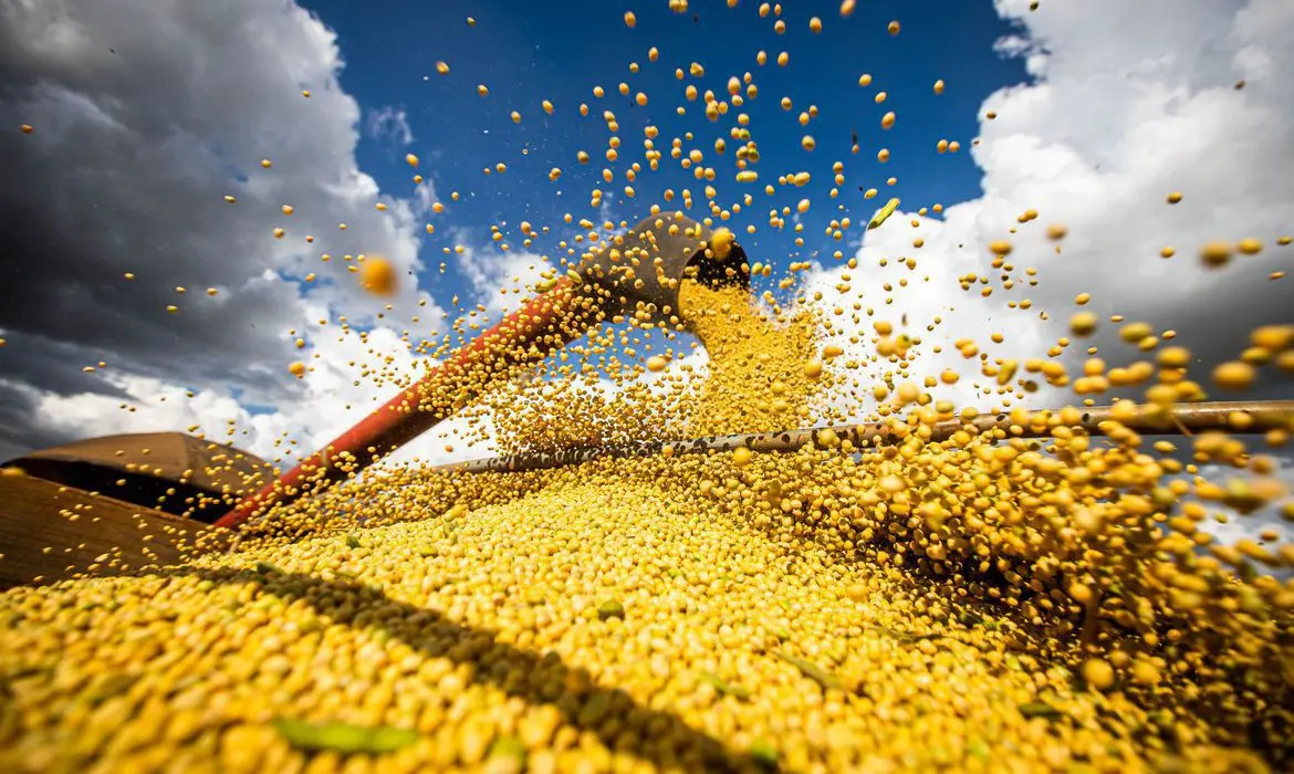 Safra de grãos colheita de soja aumento da produção Conexão Agro