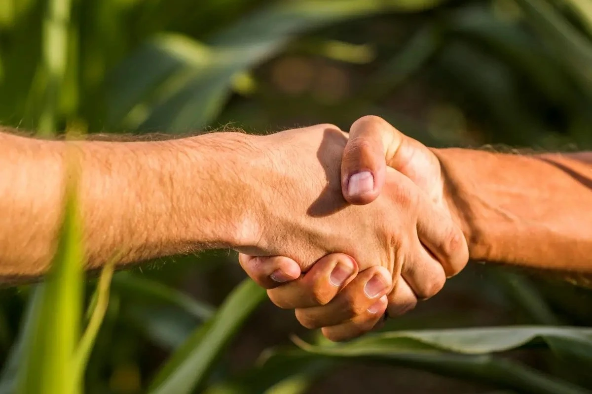 Estruturas societárias desenvolvimento do agro Conexao Agro