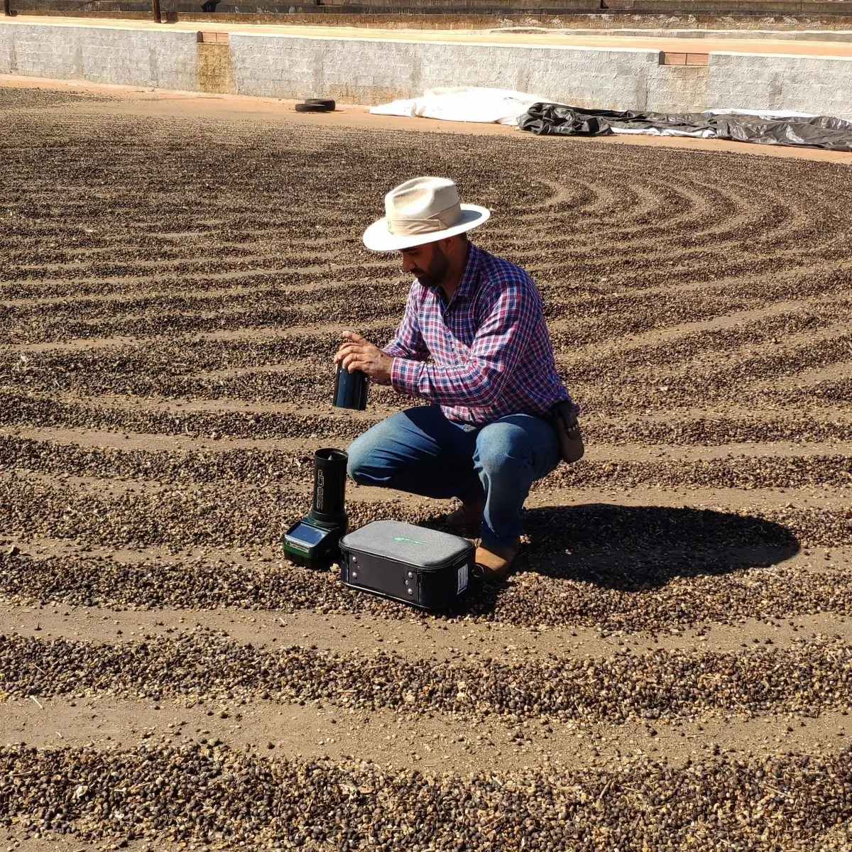 café umidade dos grãos medidor de umidade - Conexão Agro