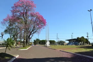 Congresso Direito Agrário - SRP - Conexão Agro