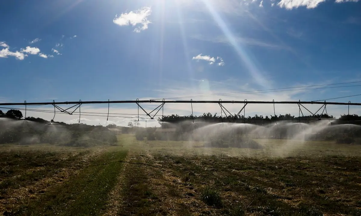 Pulverização de lavoura - Conexão Agro