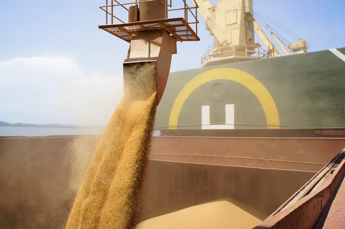 Carregamento de soja nos Portos do Paraná - Conexão Agro