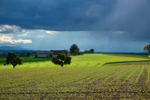 El Niño na agricultura - Conexão Agro