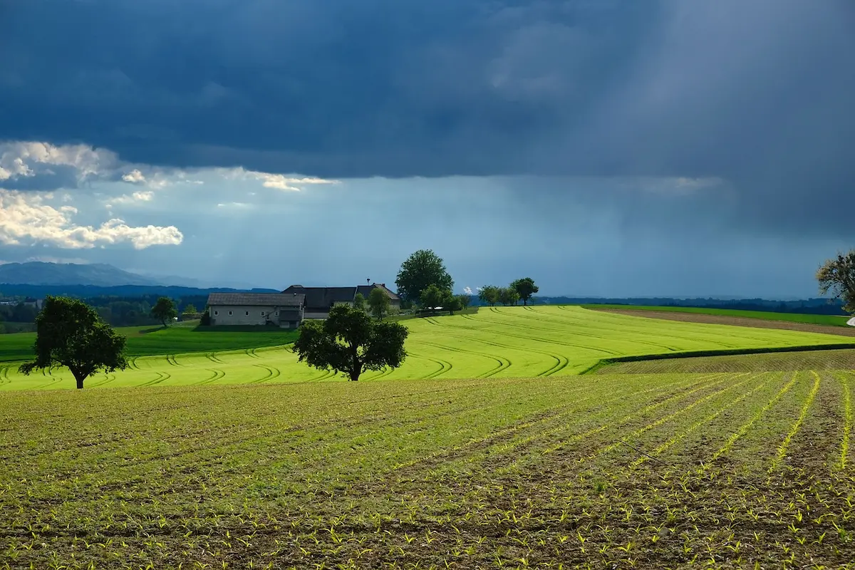 El Niño na agricultura - Conexão Agro