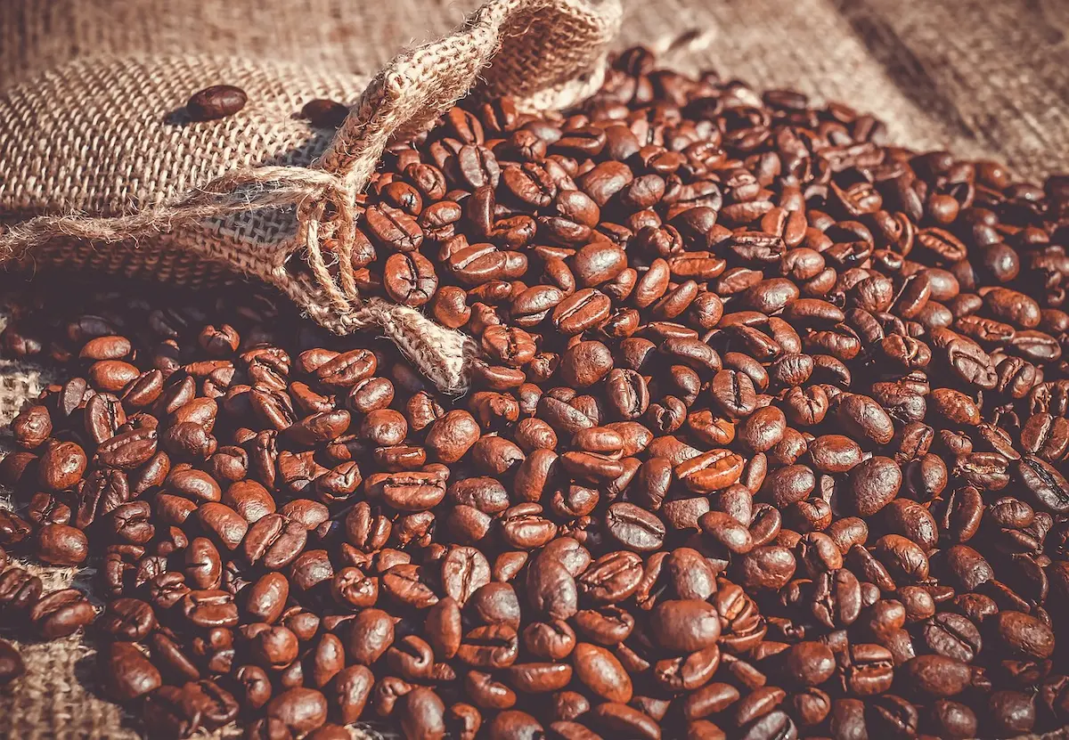 Grãos de café - Conexão Agro