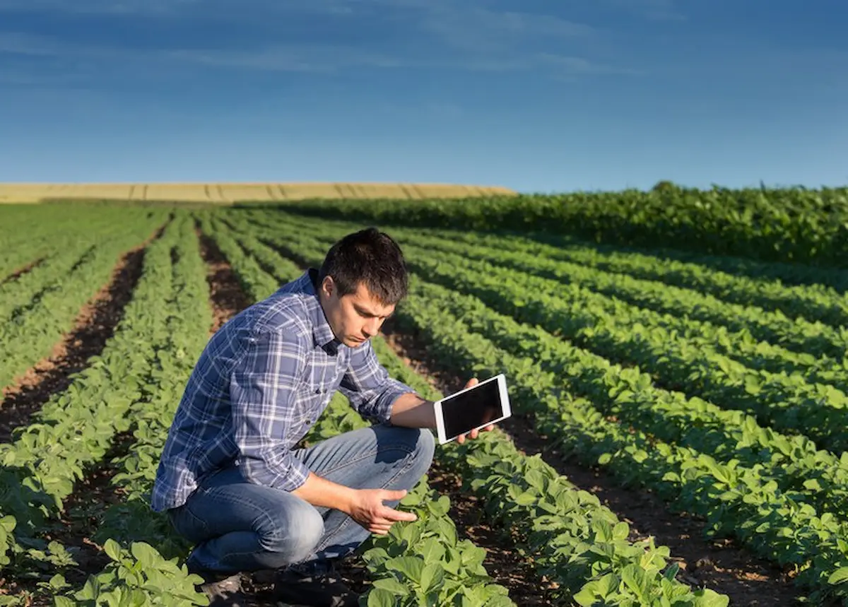 Agrônomo no campo - Conexão Agro