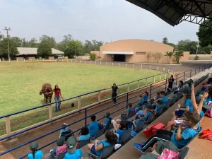 Visita crianças na Sociedade Rural do Paraná - Conexão Agro