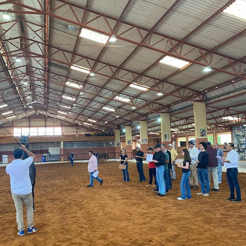 curso juízes cavalo arábe - equinos - equestre - conexão agro