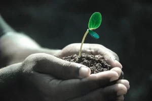 Meio ambiente - Conexão Agro