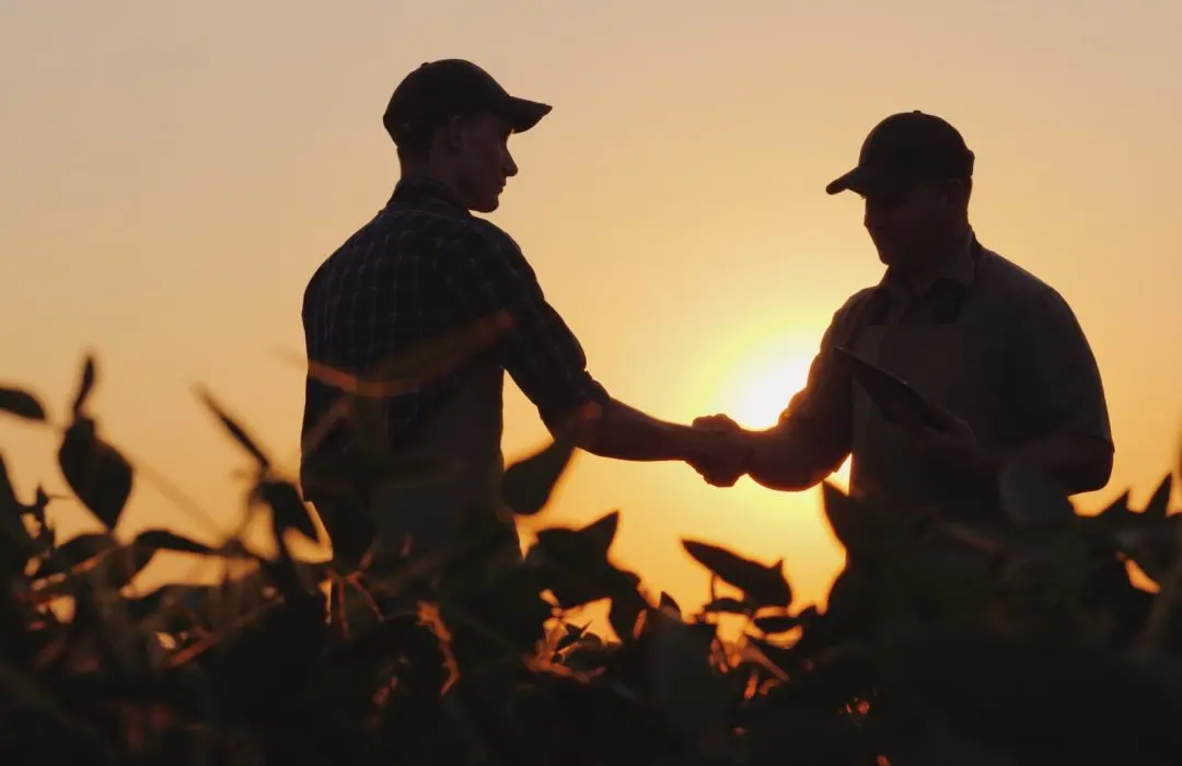 seguro rural - produtores rurais - conexão agro