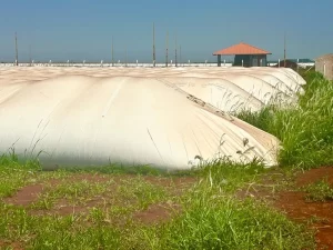 silo bolsa - silo metálico - grãos - pós-colheita - conexão agro