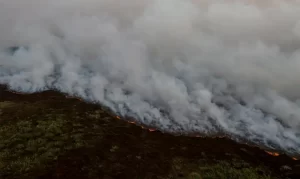 incêndio norte do Pantanal brigadistas combate - conexão agro