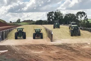 torneio de silagem produção de silagem conexão agro