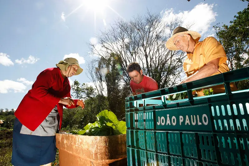 sucessão familiar agrícola conexão agro