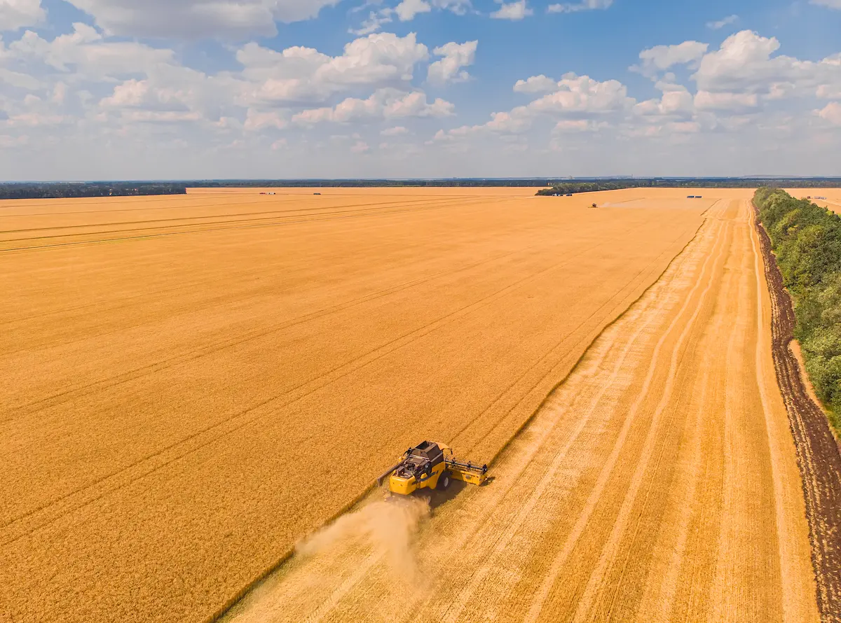 superagro feira tecnológica de agroquimicos - conexão agro