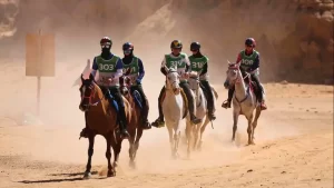 enduro equestre - Brasil top 10 - competição Arábia - Conexão Agro