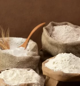 Moatrigo workshop setor moageiro trigo farinha - conexão agro