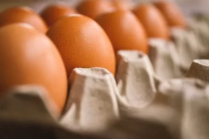 Exportação de ovos - Conexão Agro
