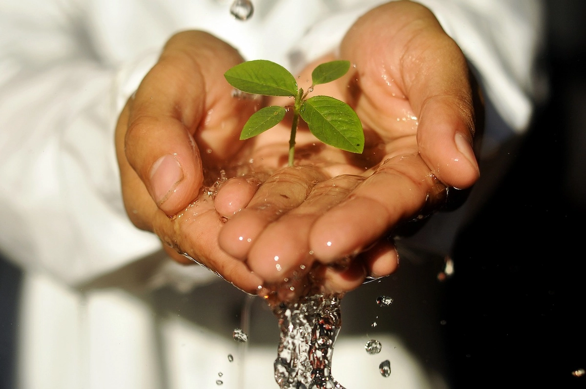 Dia Mundial da Água - Conexão Agro