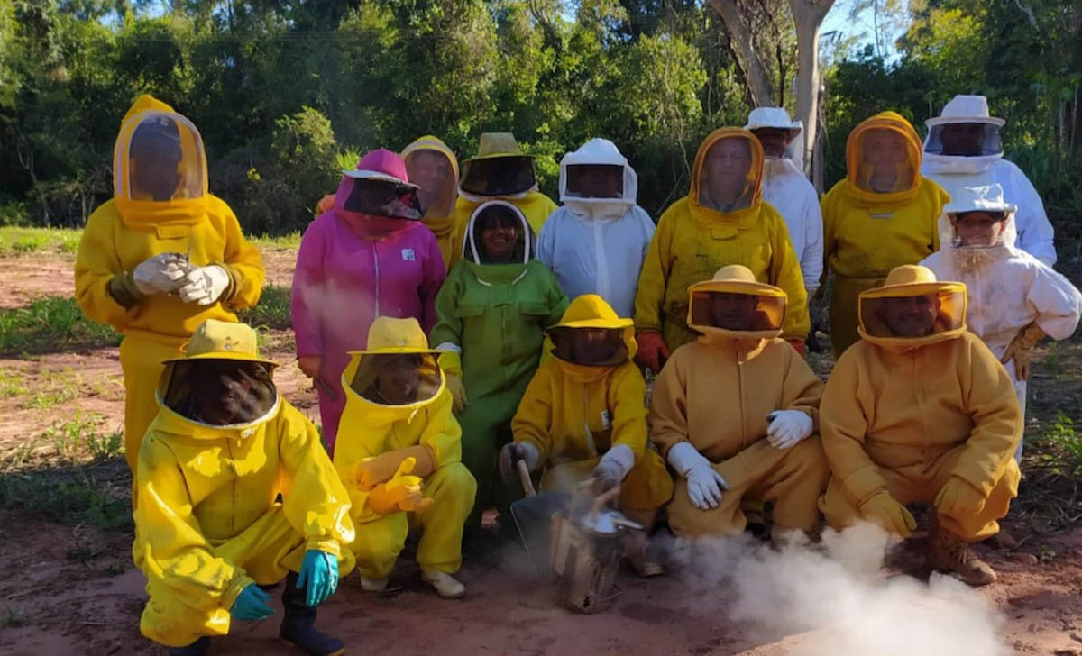 Pesquisa de abelhas africanas UEM - Conexão Agro