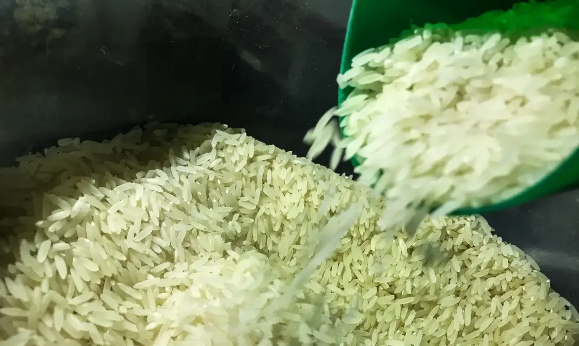 arroz compra governo - conexão agro