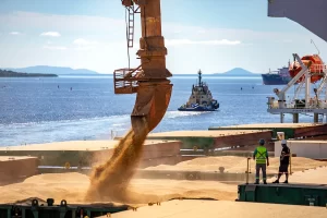 Exportação nos Portos do Paraná - Conexão Agro