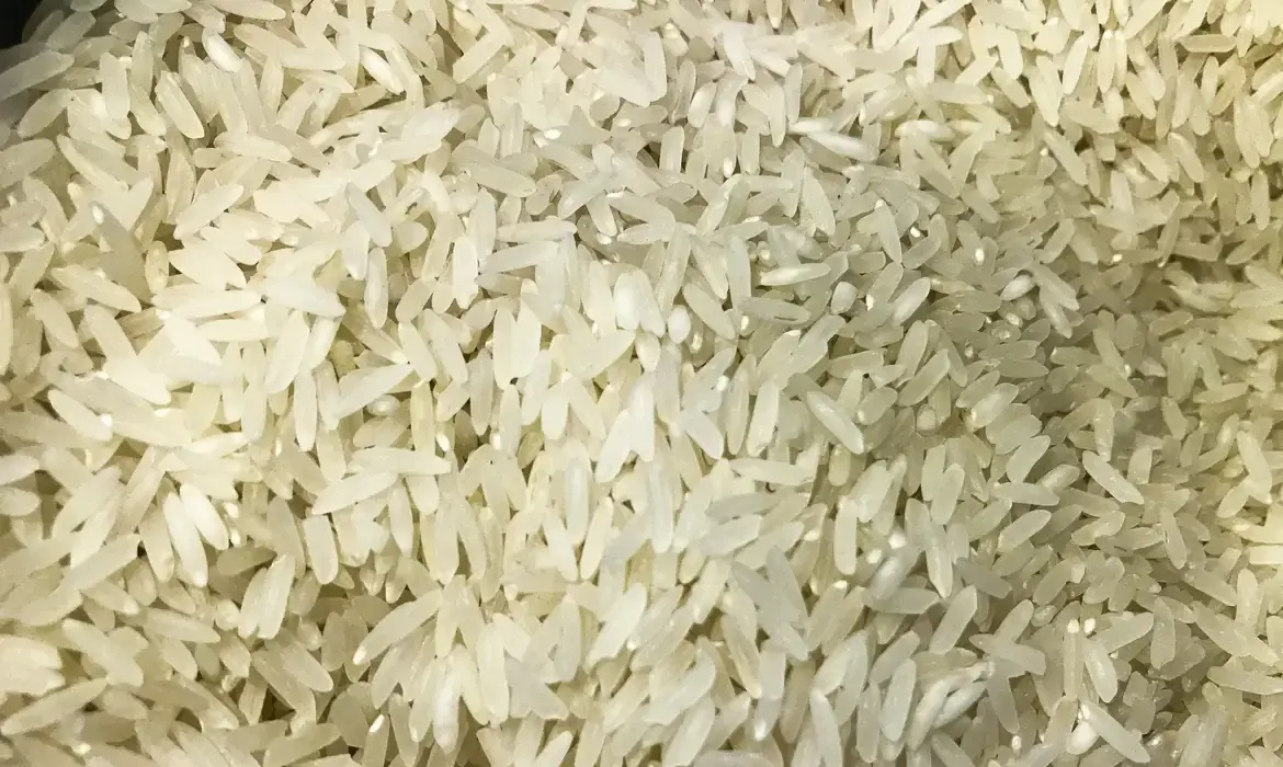 Justiça leilão arroz - conexão agro
