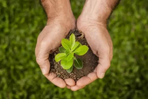 ESG Práticas sustentáveis sustentabilidade Meio ambiente Conexão Agro
