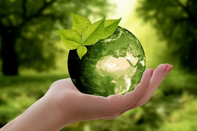 Fórum da Sustentabilidade ESG - conexão agro