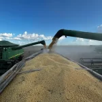 soja produtividade Mato Grosso Conexão Agro