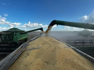 soja produtividade Mato Grosso Conexão Agro