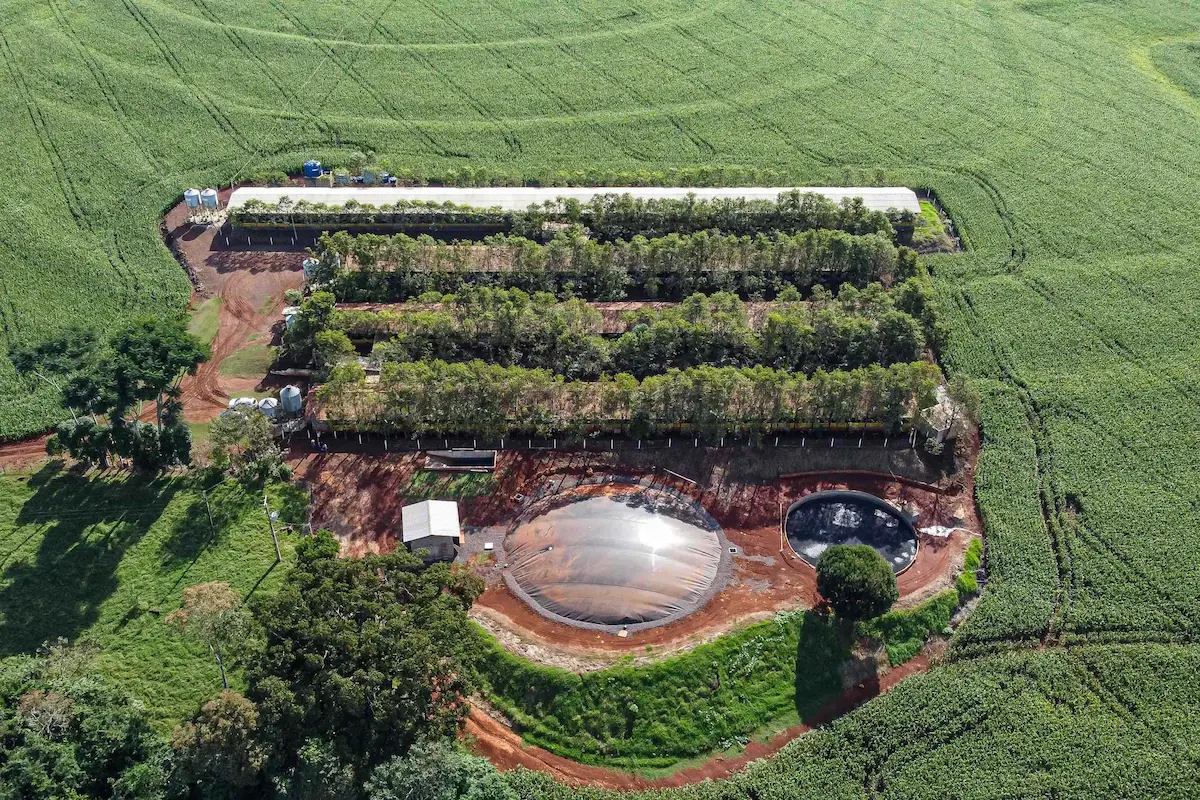 Usina Biogas suinocultura Medianeira Conexão Agro