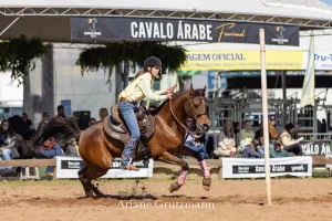 Campeonato Domados do Pampa Cavalo Árabe Expointer Conexão Agro