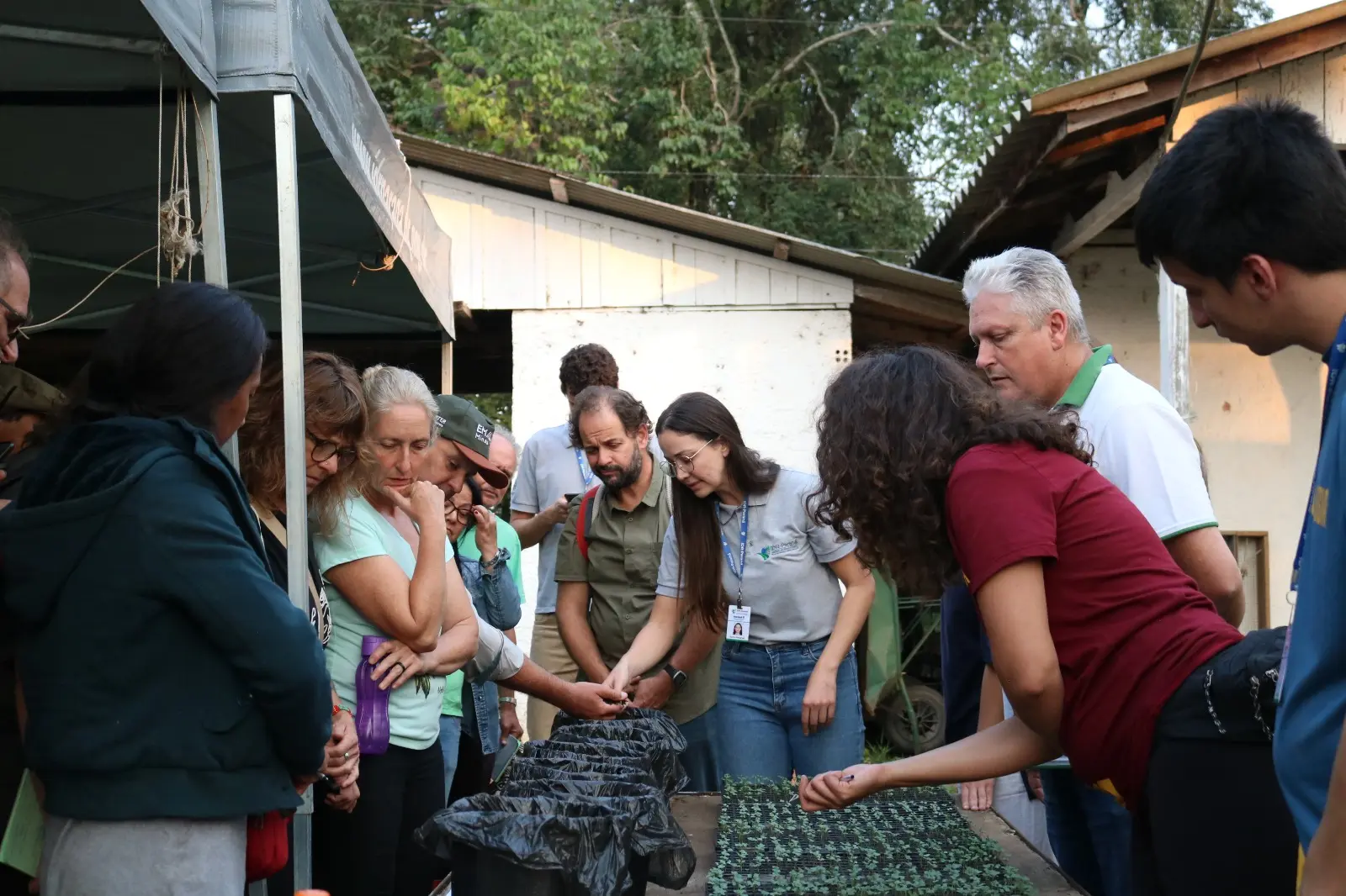 curso produção de mudas orgânicas IDR-Paraná Conexão Agro