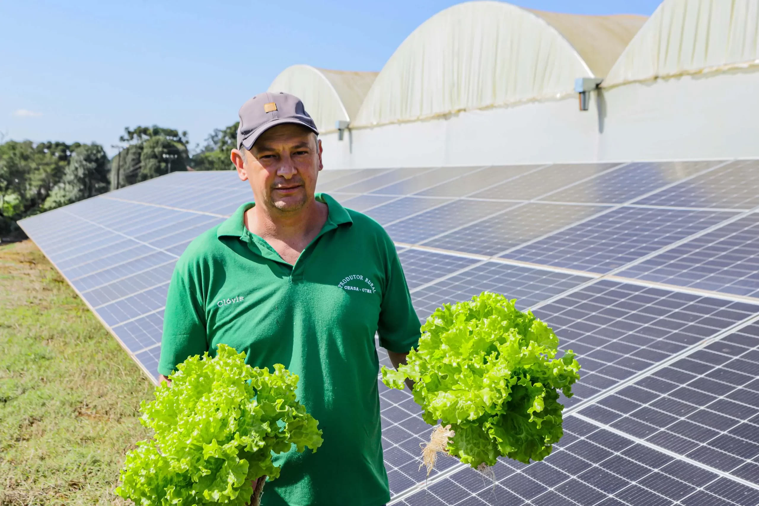 energia fotovoltaica redução de custo produtor hidropônicos Conexão Agro