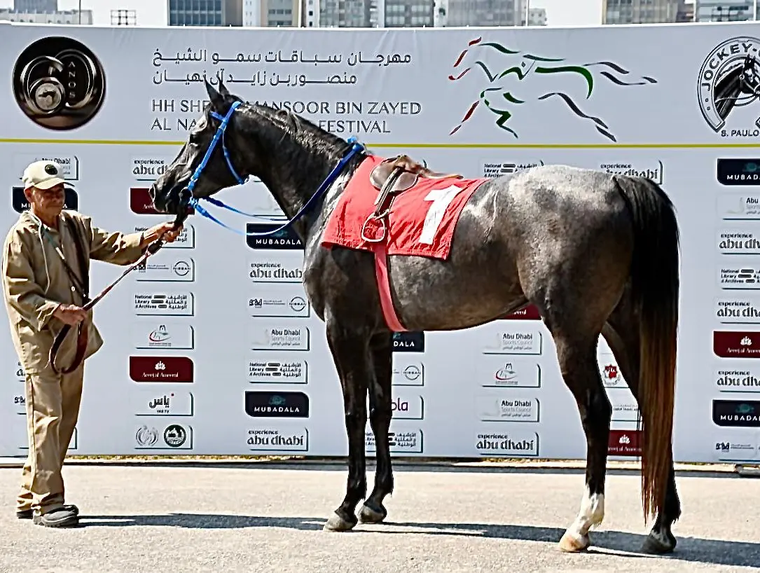 equinos premiação Passamarie Rach Conexão Agro