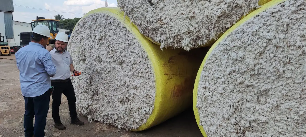 Umidade do algodão aparelho Cotton Motomco Conexão Agro