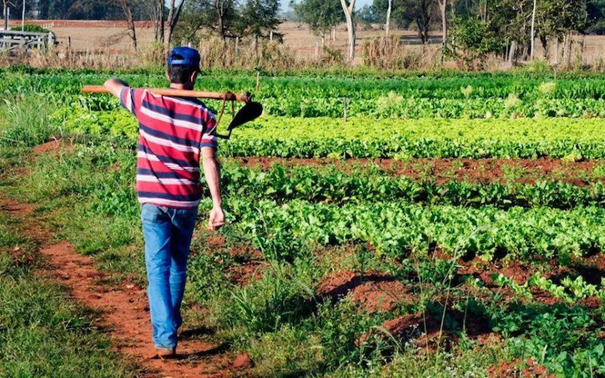 Agricultor familiar tem fundo de aval rural no Paraná - Conexão Agro