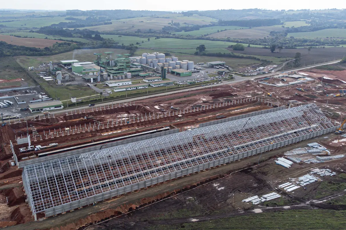 Agroindústria da soja - Potencial - Conexão Agro