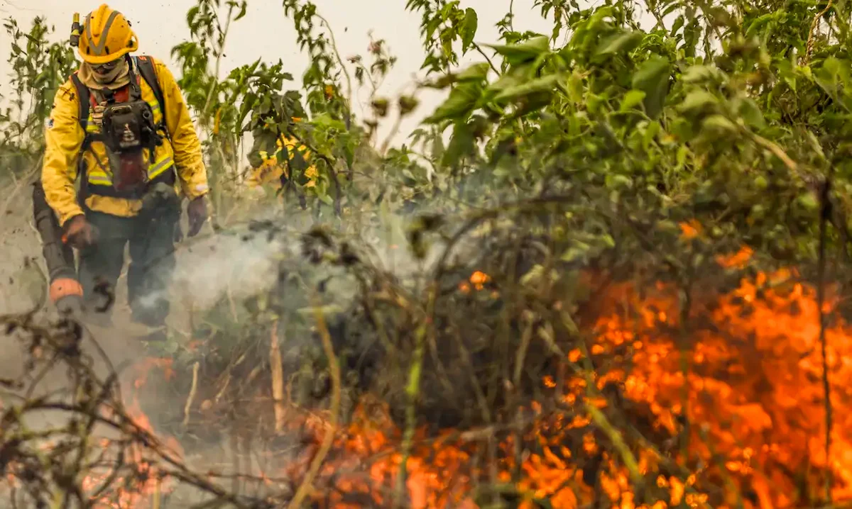 Queimadas na Amazônia e Pantanal